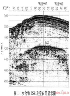 天然氣水合物勘查識(shí)別與實(shí)驗(yàn)技術(shù)