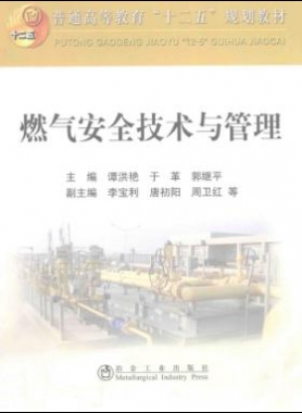  燃?xì)獍踩夹g(shù)與管理 作者：譚洪艷，于革，郭繼平 主編