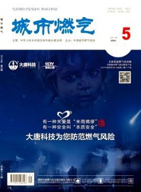 《城市燃氣》2018年第5期燃氣論文精選下載