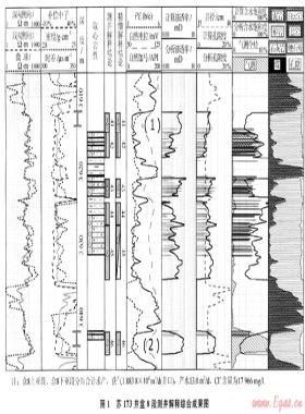 低滲透巖性氣藏含水特征分析與測(cè)井識(shí)別技術(shù)——以蘇里格氣田為例