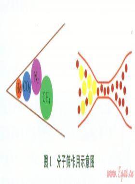 中國(guó)南方海相頁(yè)巖孔隙結(jié)構(gòu)特征