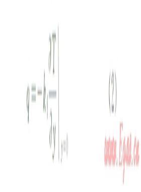 基于安全閥火災輻射的LNG全容罐瞬態(tài)熱力耦合分析