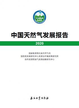 2020中國天然氣發(fā)展報告（含2017、2018、2019、2020）