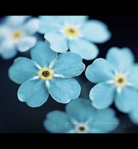 《無(wú)線遠(yuǎn)傳膜式燃?xì)獗怼烦墙?T503-2016全文