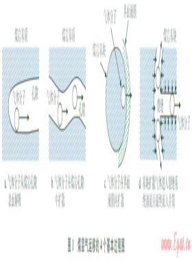 鉆井完井液對(duì)煤層氣解吸—擴(kuò)散—滲流過程的影響